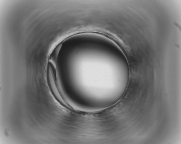 X0000096471512200801241417