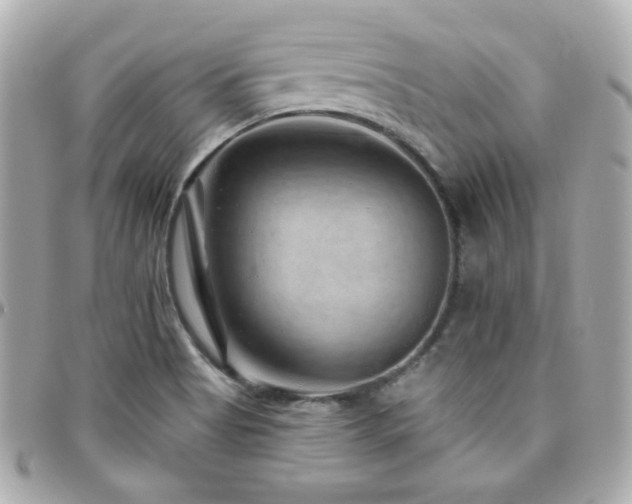 X0000096471513200801241417