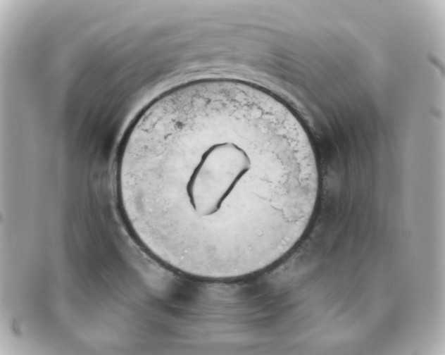 X0000096471514200801241417