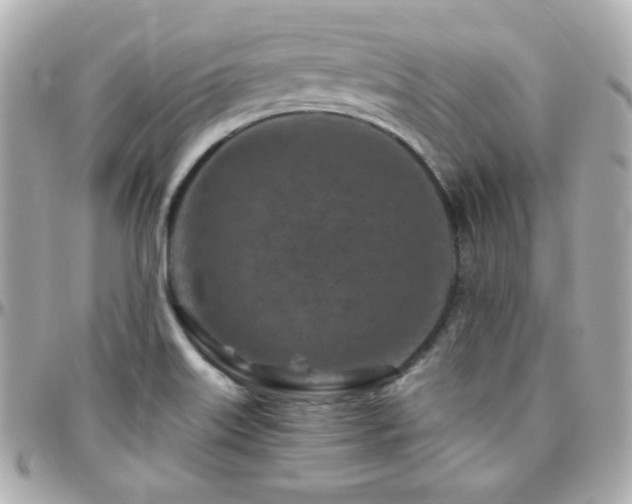 X0000096471515200801241417