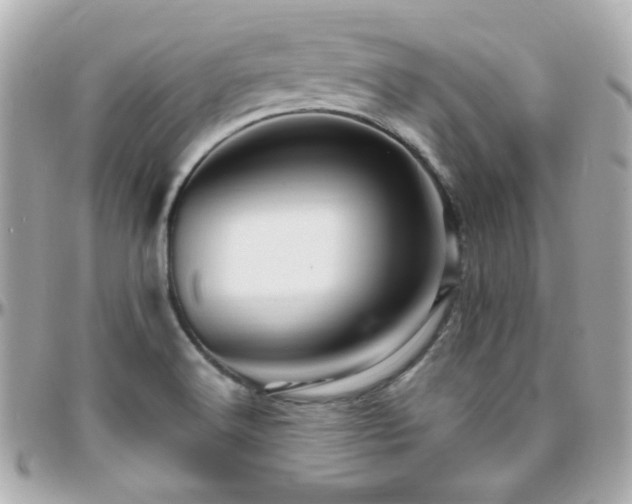 X0000096471516200801241417