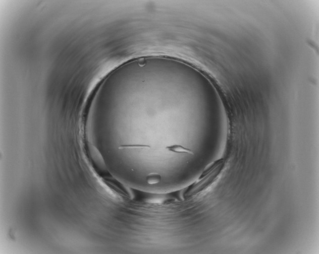 X0000096471517200801241417