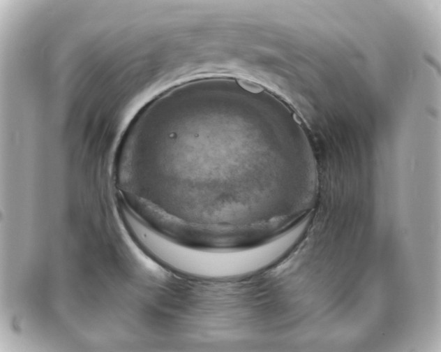 X0000096471519200801241417