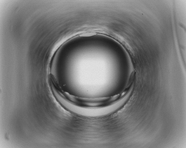 X0000096471520200801241417