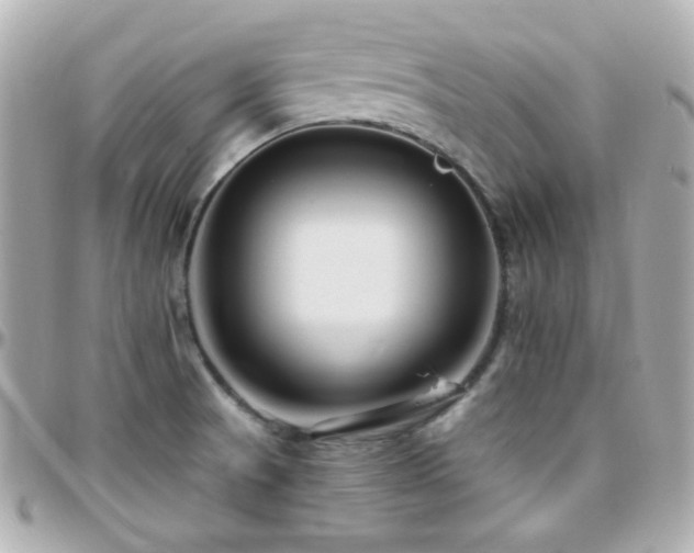 X0000096471521200801241417