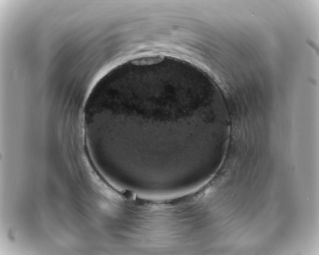 X0000096471522200801241417