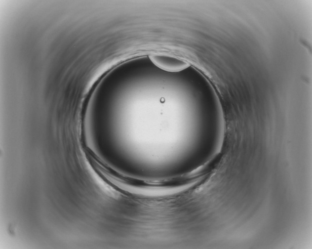 X0000096471523200801241417