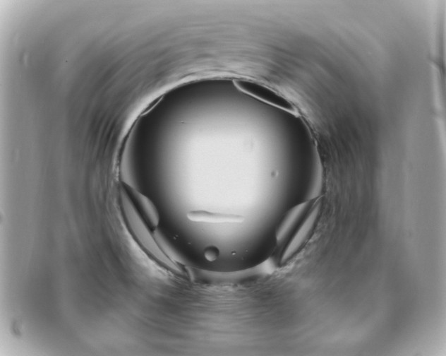 X0000096471524200801241417