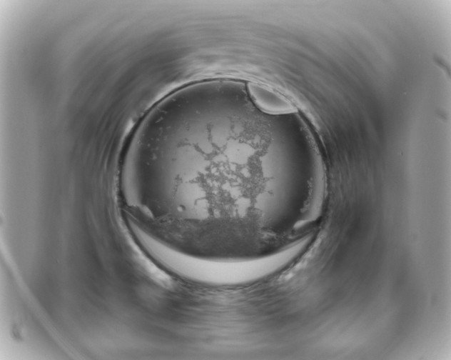 X0000096471525200801241417