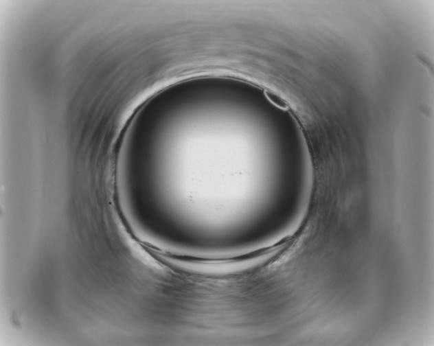 X0000096471526200801241417