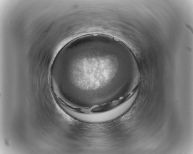 X0000096471527200801241417