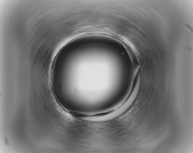 X0000096471528200801241417