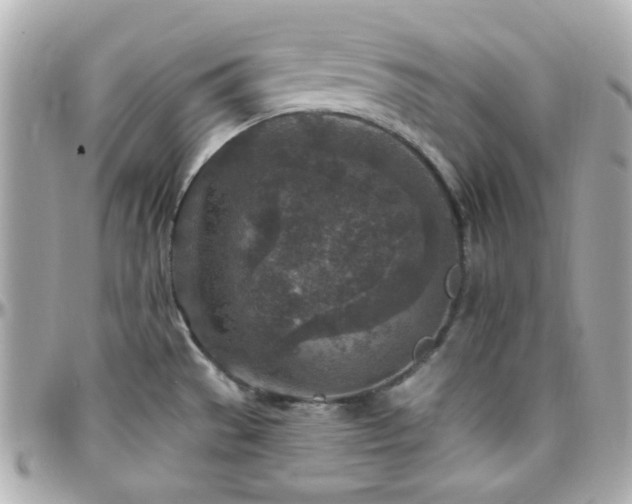 X0000096471529200801241417