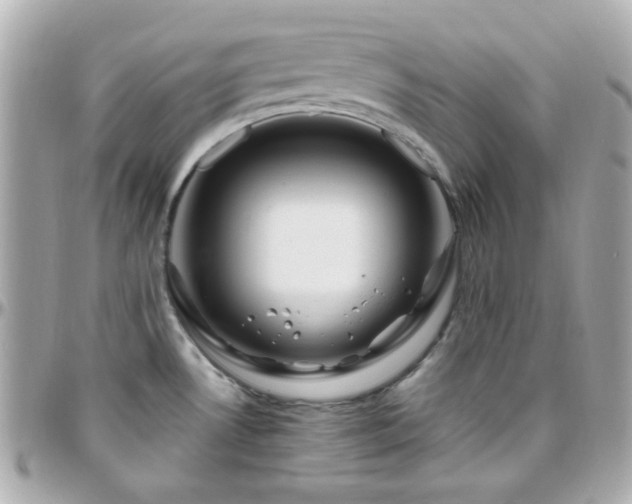 X0000096471530200801241417