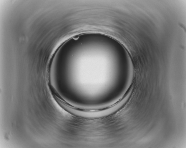 X0000096471531200801241417