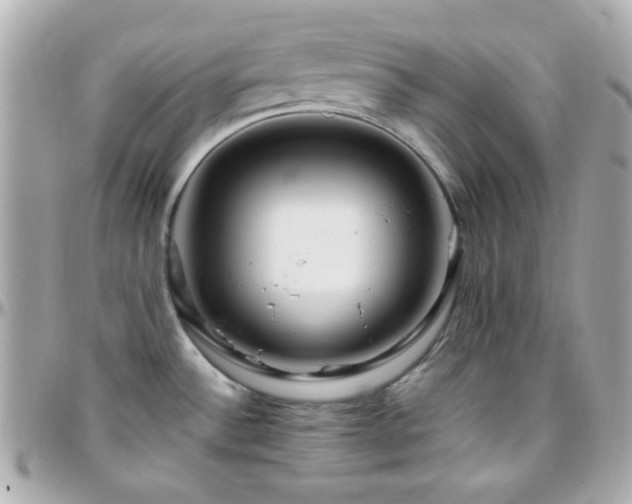 X0000096471532200801241418