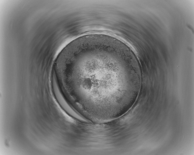 X0000096471533200801241418