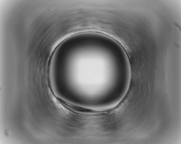 X0000096471534200801241418