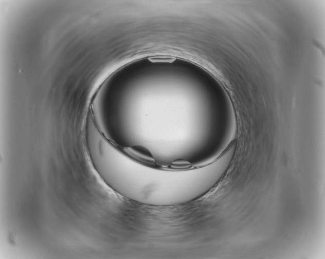 X0000096471536200801241418