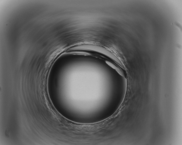 X0000096470001200801311544