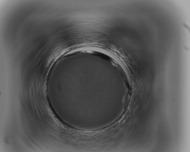 X0000096470002200801311544