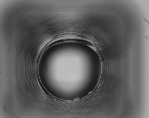 X0000096470003200801311544