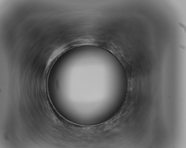 X0000096470004200801311544
