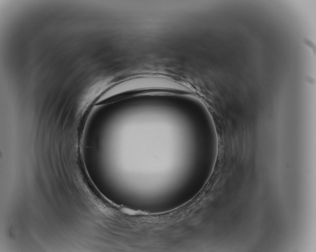 X0000096470005200801311544
