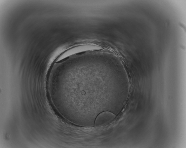 X0000096470006200801311544