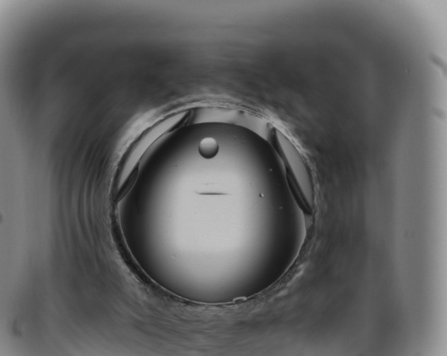 X0000096470007200801311544