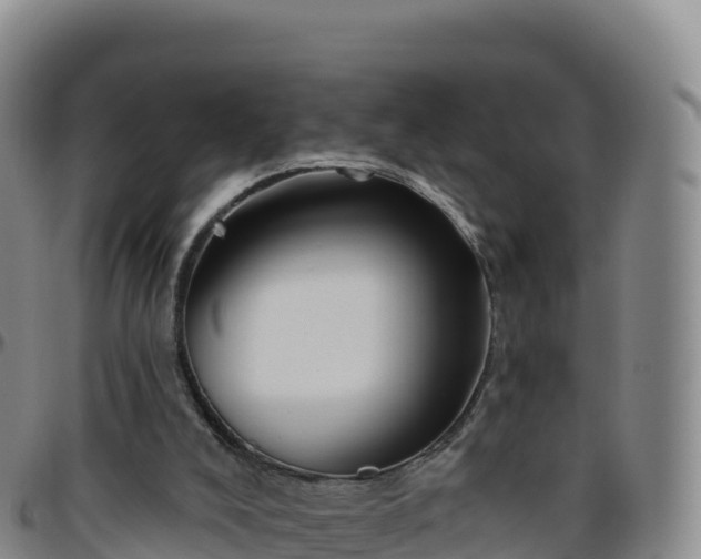 X0000096470008200801311544