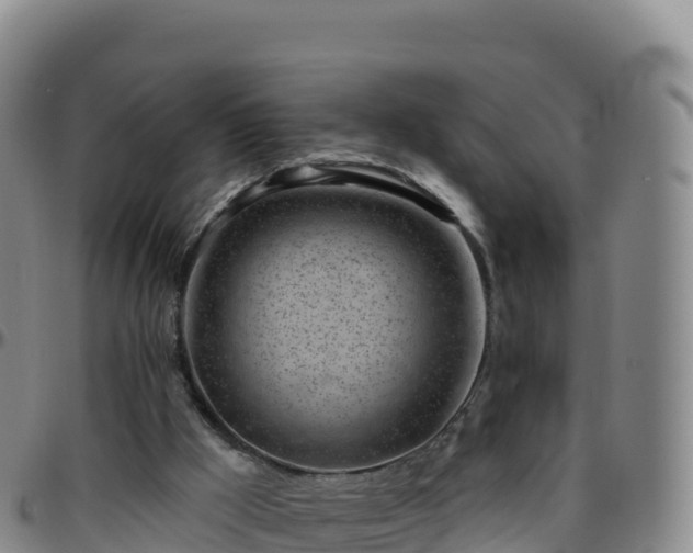 X0000096470009200801311544