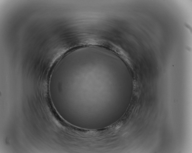 X0000096470012200801311544