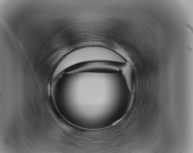 X0000096470013200801311544