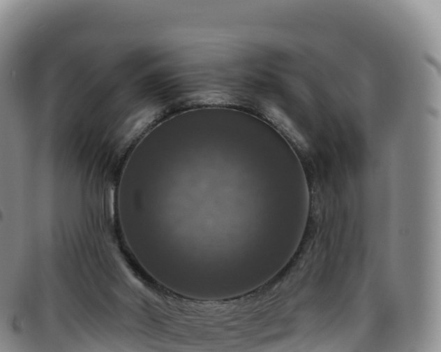 X0000096470014200801311544