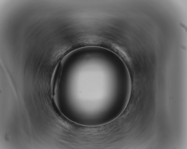 X0000096470017200801311544