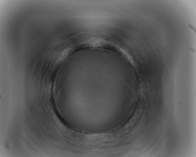 X0000096470018200801311544