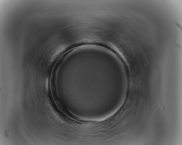 X0000096470019200801311544
