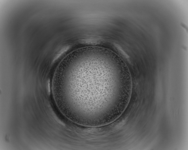 X0000096470020200801311544