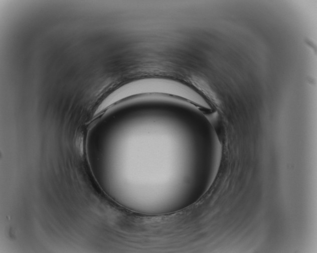 X0000096470021200801311544