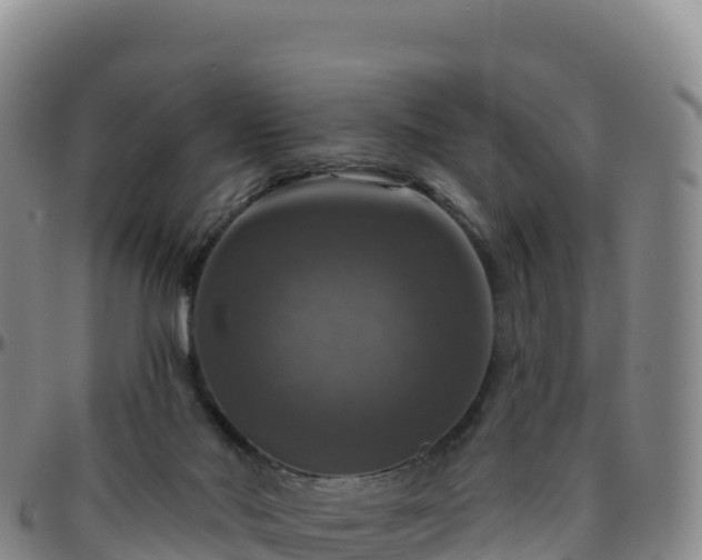 X0000096470022200801311544
