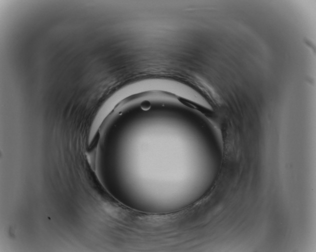 X0000096470025200801311544