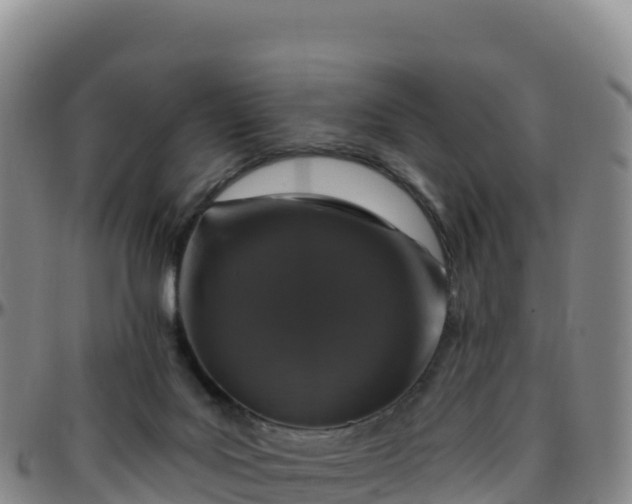 X0000096470027200801311544