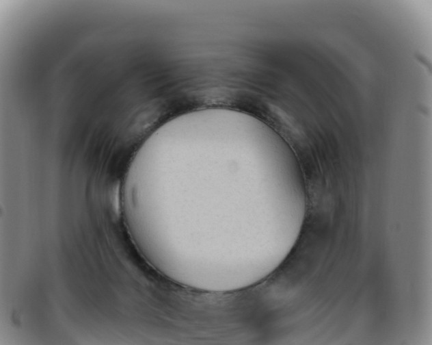 X0000096470028200801311544