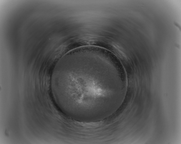 X0000096470030200801311544