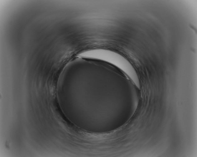 X0000096470031200801311544