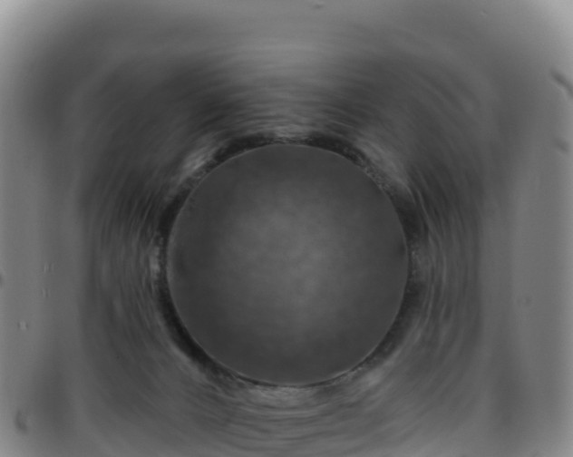 X0000096470032200801311544