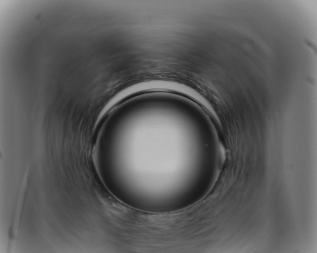 X0000096470033200801311544