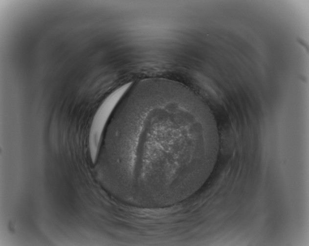 X0000096470034200801311544
