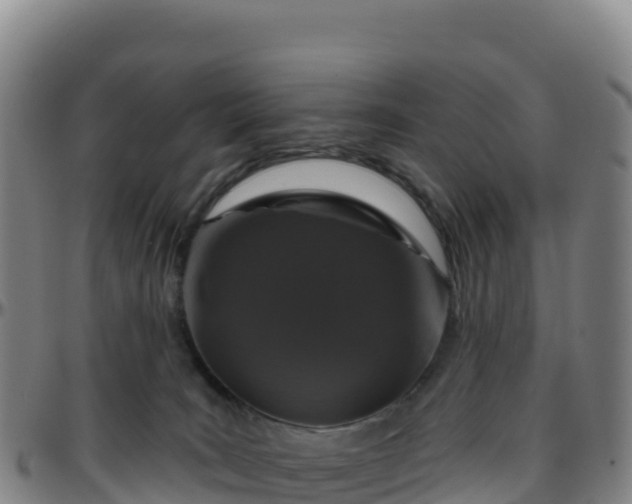 X0000096470035200801311544